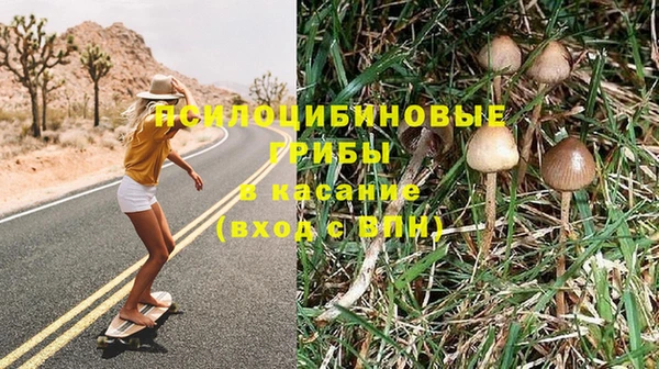 мдпв Арсеньев